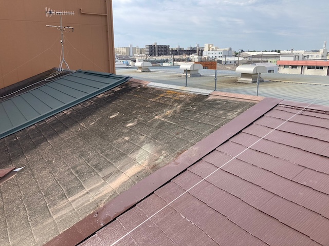 サビと藻が発生